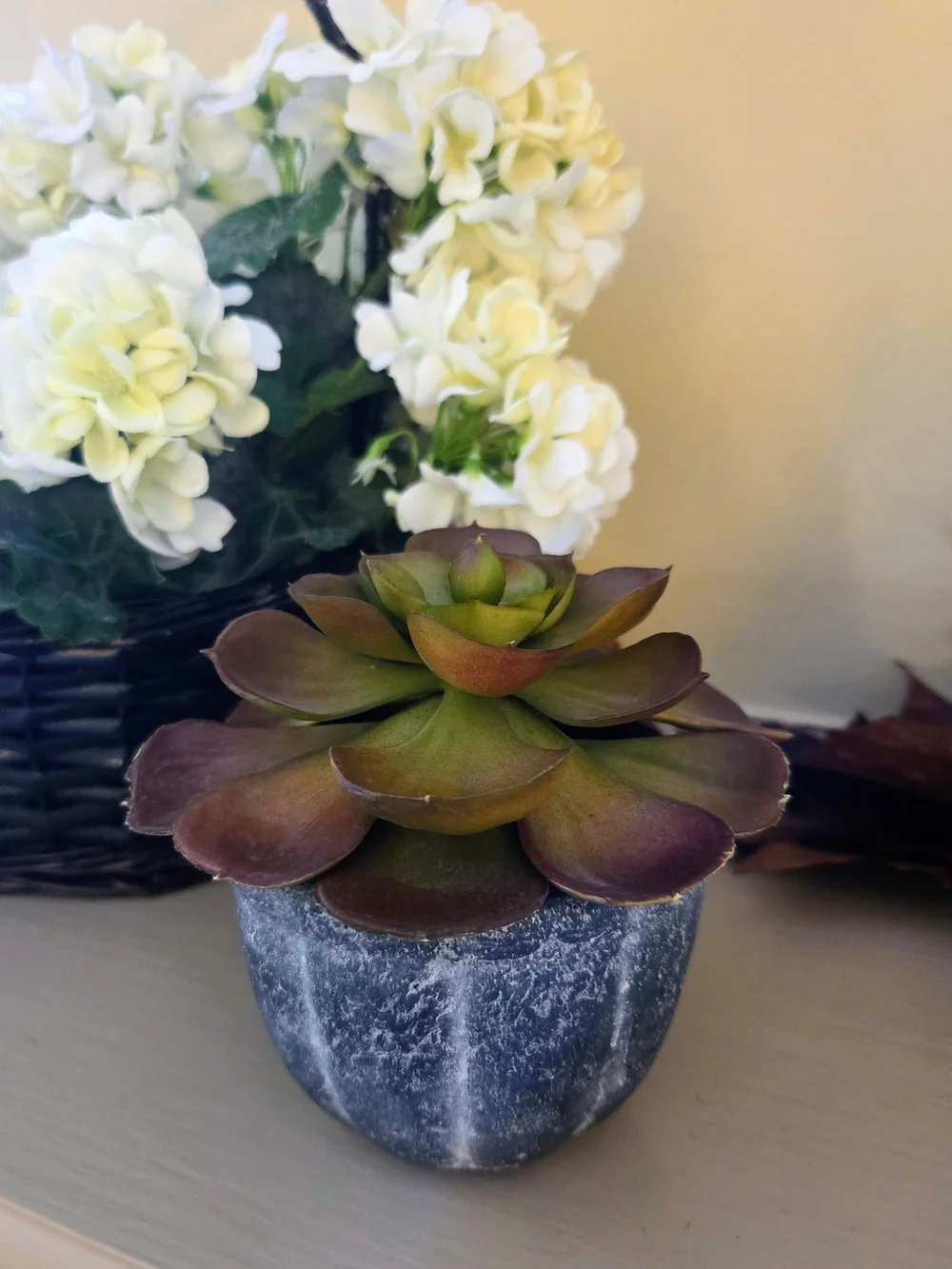 Crate&Barrel Faux Succulent in Distressed Gray Pot - Fall Plant Decor